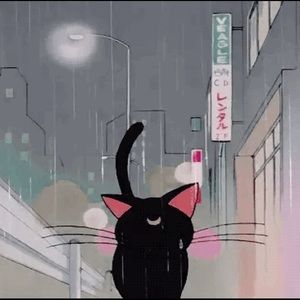 Meet your Posher, Luna